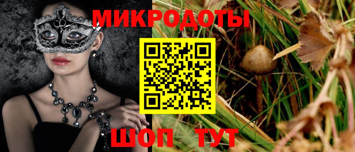 наркотики  Вход с VPN  Гурьевск  Галлюциногенные грибы MAGIC MUSHROOMS  Галлюциногенные грибы ЛСД 